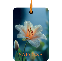 Kağıt Ortam Parfümü, Ortam Hava Temizleyici Ve Tazeleyici 30+ Gün Etkili Arabada Evde Ofiste Golden