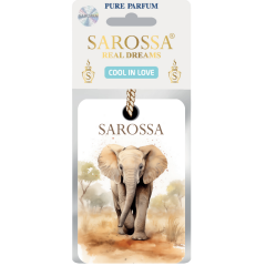 KAĞIT ORTAM PARFÜMÜ, ORTAM HAVA TEMİZLEYİCİ VE TAZELEYİCİ 30 GÜN ETKİLİ ARABADA EVDE OFİSTE