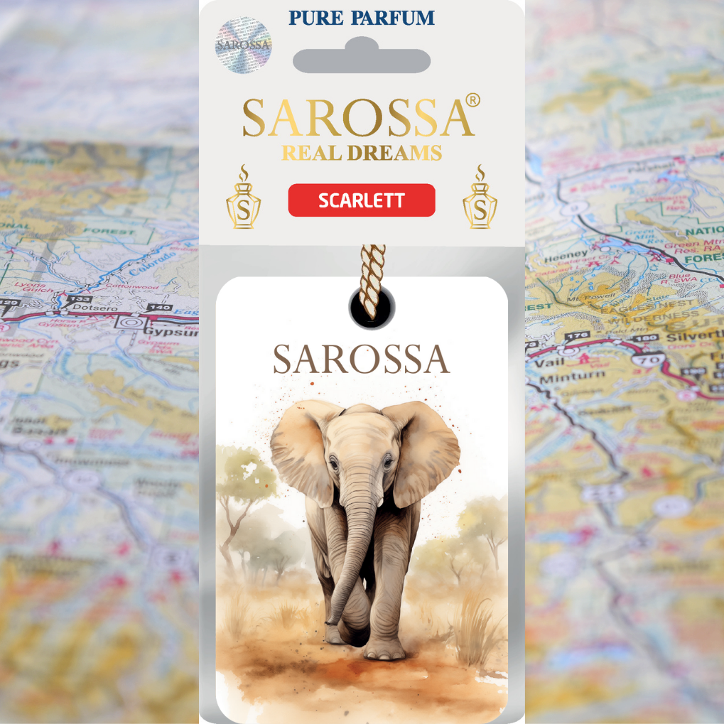 KAĞIT ORTAM PARFÜMÜ, ORTAM HAVA TEMİZLEYİCİ VE TAZELEYİCİ 30 GÜN ETKİLİ ARABADA EVDE OFİSTE