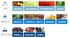 Kağıt Ortam Parfümü, Ortam Hava Temizleyici Ve Tazeleyici 30+ Gün Etkili Arabada Evde Ofiste Golden