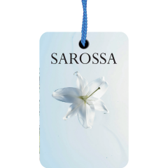 KAĞIT ORTAM PARFÜMÜ, ORTAM HAVA TEMİZLEYİCİ VE TAZELEYİCİ 30 GÜN ETKİLİ ARABADA EVDE OFİSTE