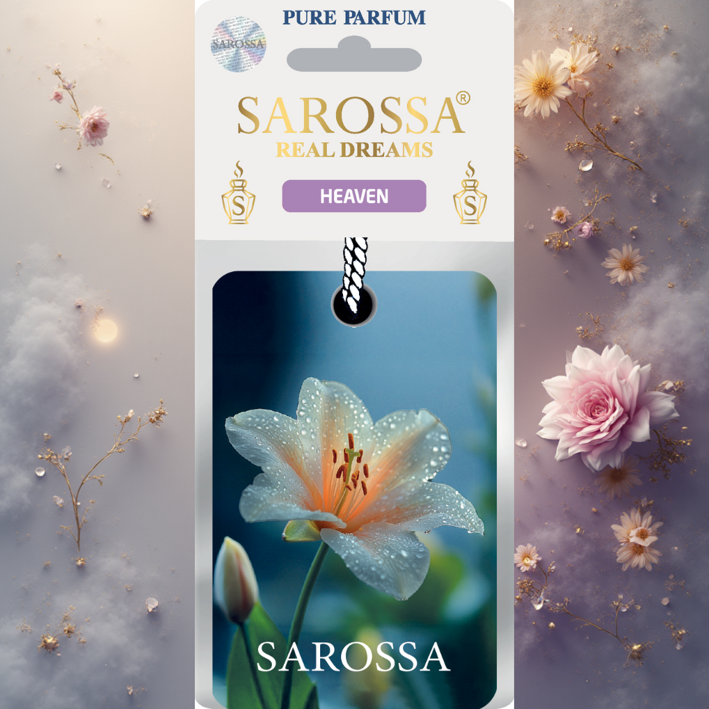 KAĞIT ORTAM PARFÜMÜ, ORTAM HAVA TEMİZLEYİCİ VE TAZELEYİCİ 30 GÜN ETKİLİ ARABADA EVDE OFİSTE