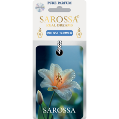 KAĞIT ORTAM PARFÜMÜ, ORTAM HAVA TEMİZLEYİCİ VE TAZELEYİCİ 30 GÜN ETKİLİ ARABADA EVDE OFİSTE