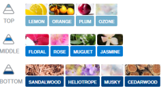 KAĞIT ORTAM PARFÜMÜ, ORTAM HAVA TEMİZLEYİCİ VE TAZELEYİCİ 30 GÜN ETKİLİ ARABADA EVDE OFİSTE