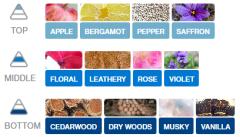 KAĞIT ORTAM PARFÜMÜ, ORTAM HAVA TEMİZLEYİCİ VE TAZELEYİCİ 30 GÜN ETKİLİ ARABADA EVDE OFİSTE